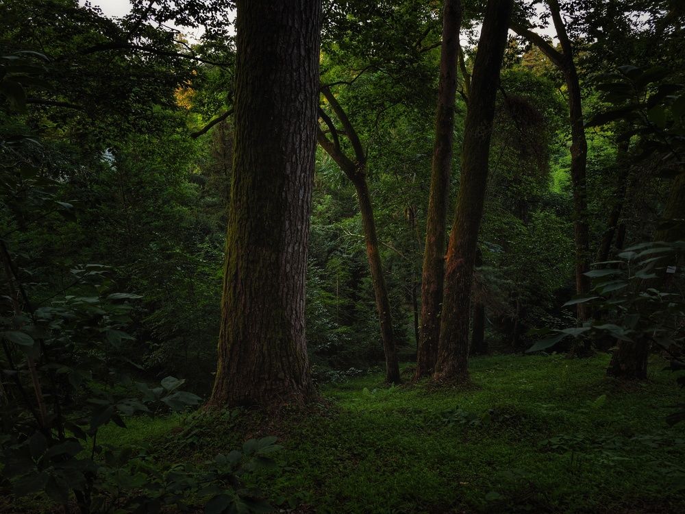 Photograph by Евгения Кинжакова