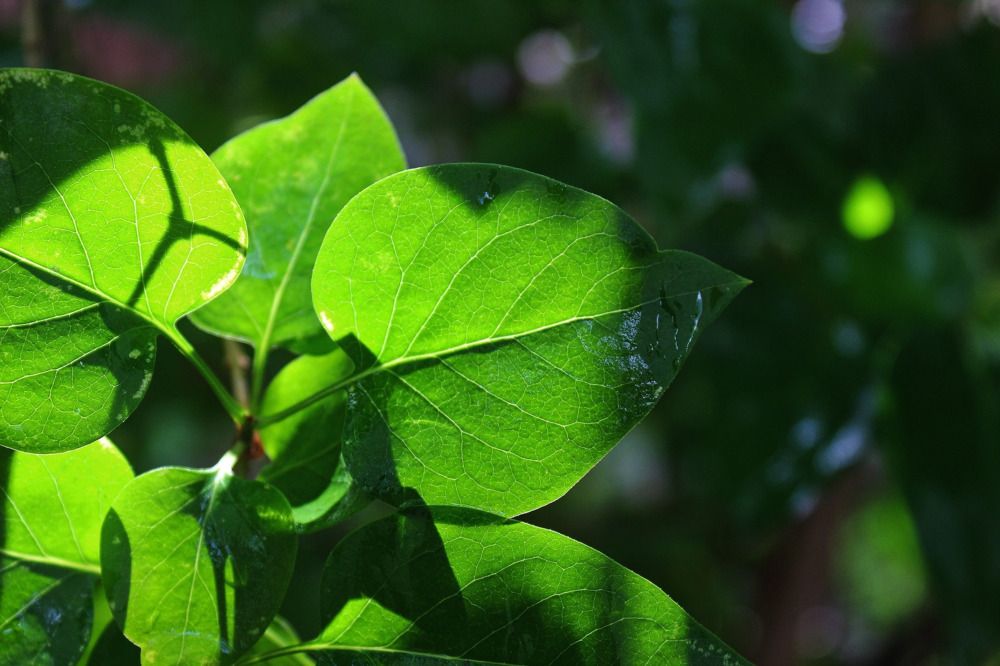 Photograph by Анастасия Макарова