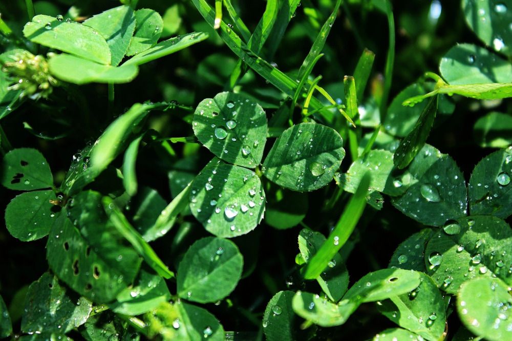 Photograph by Анастасия Макарова