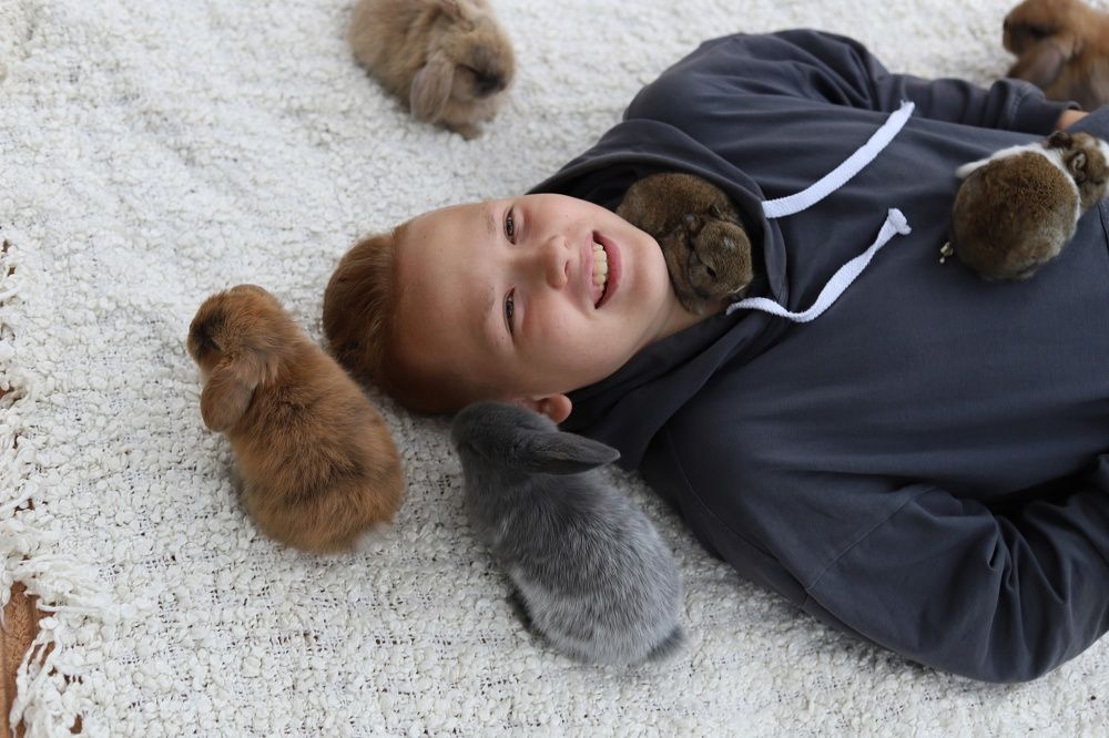 Photograph by Светлана Семакина