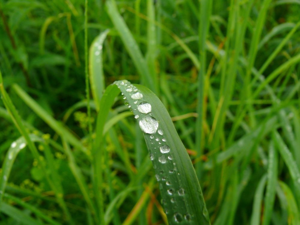 Россыпь алмазов.