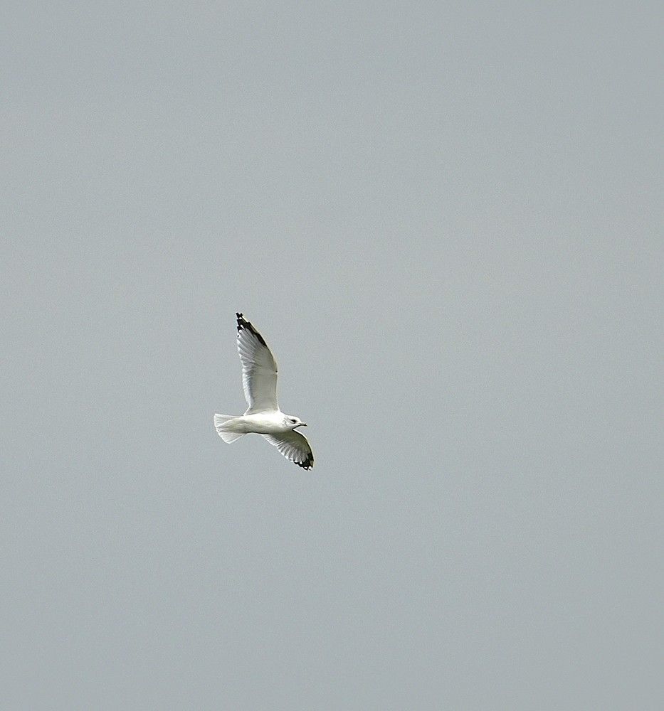 Photograph by Михаил Трусов