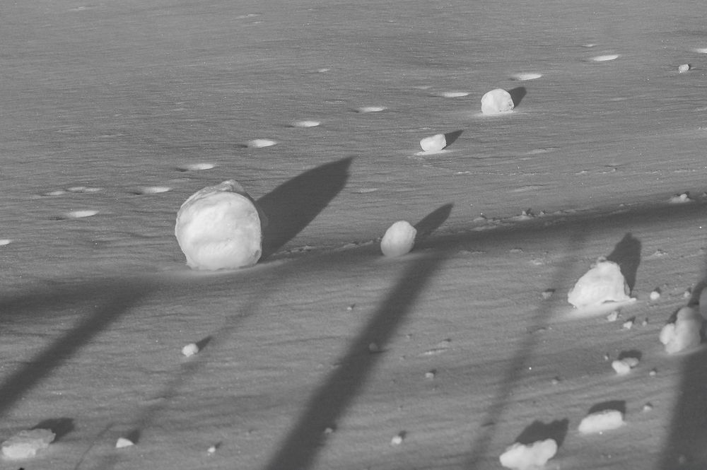 Photograph by Светлана Карнаух