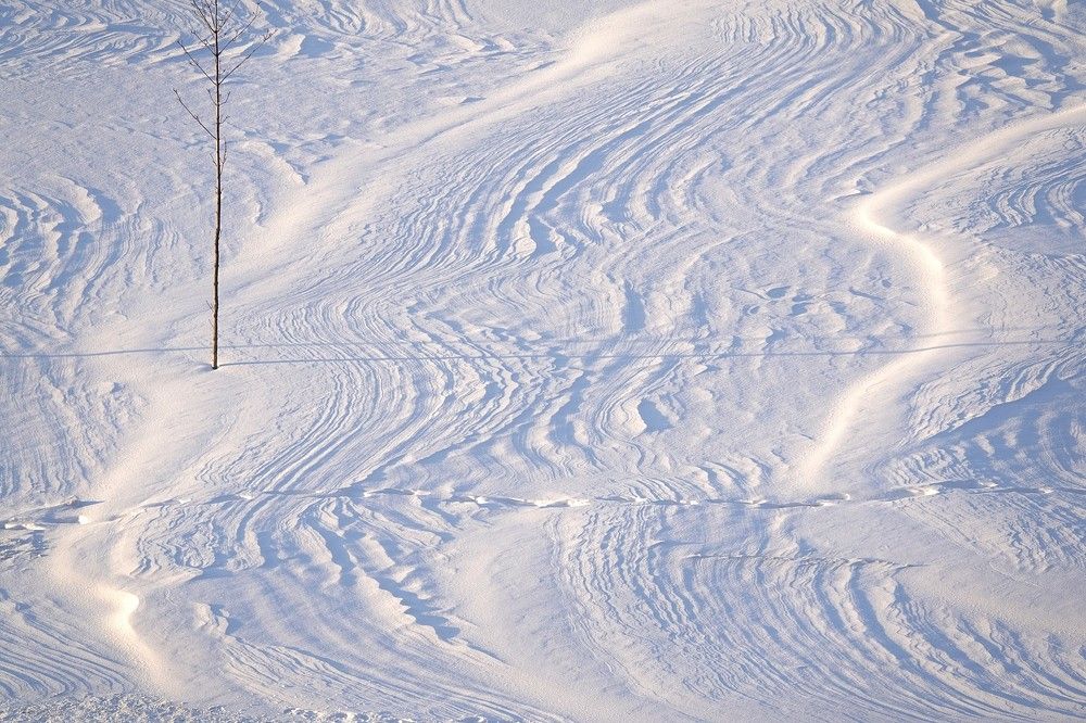 Photograph by Zakharov Matvey