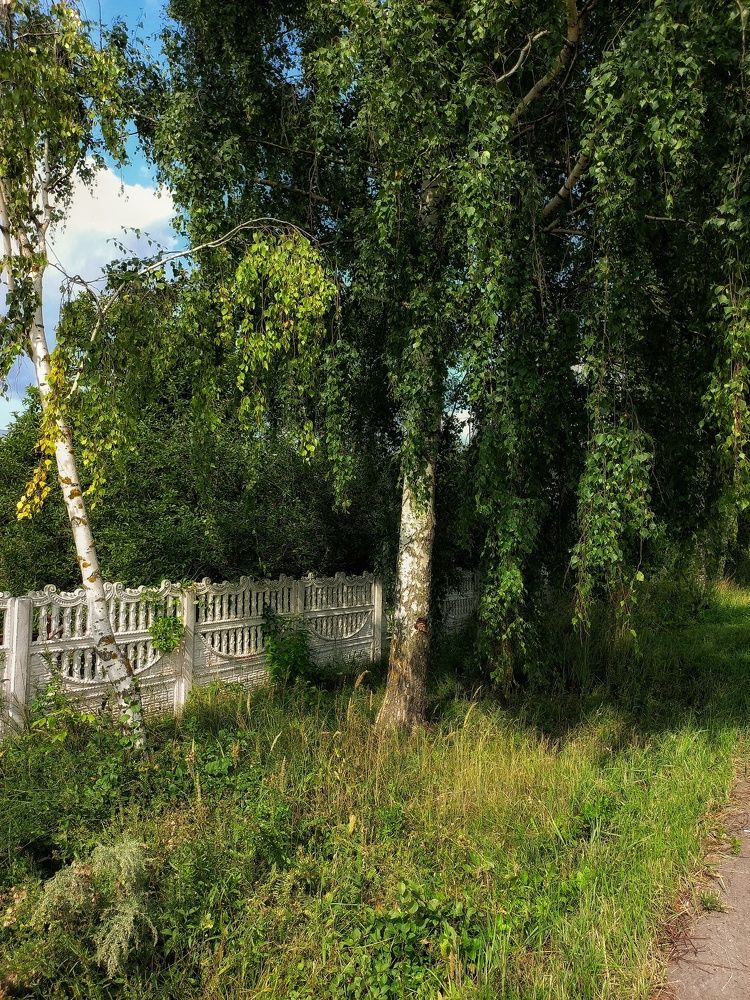 Photograph by Марина Егорова