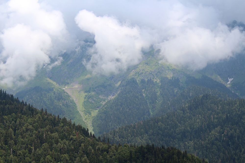 Photograph by Виталий