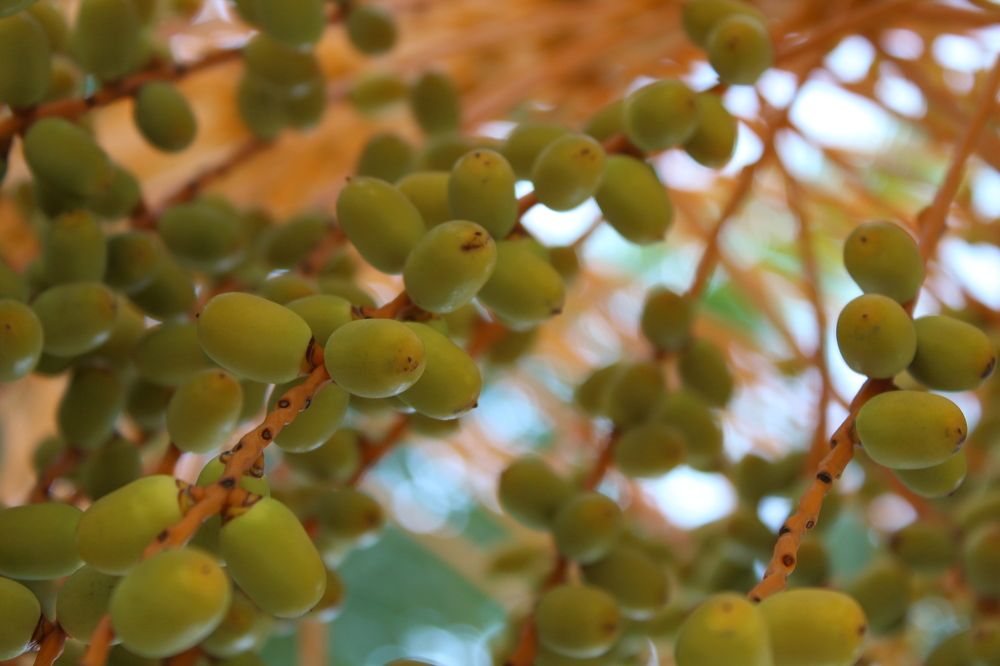 Photograph by Виталий