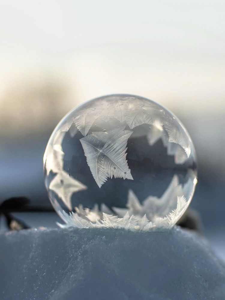 Photograph by Людмила Прибылова