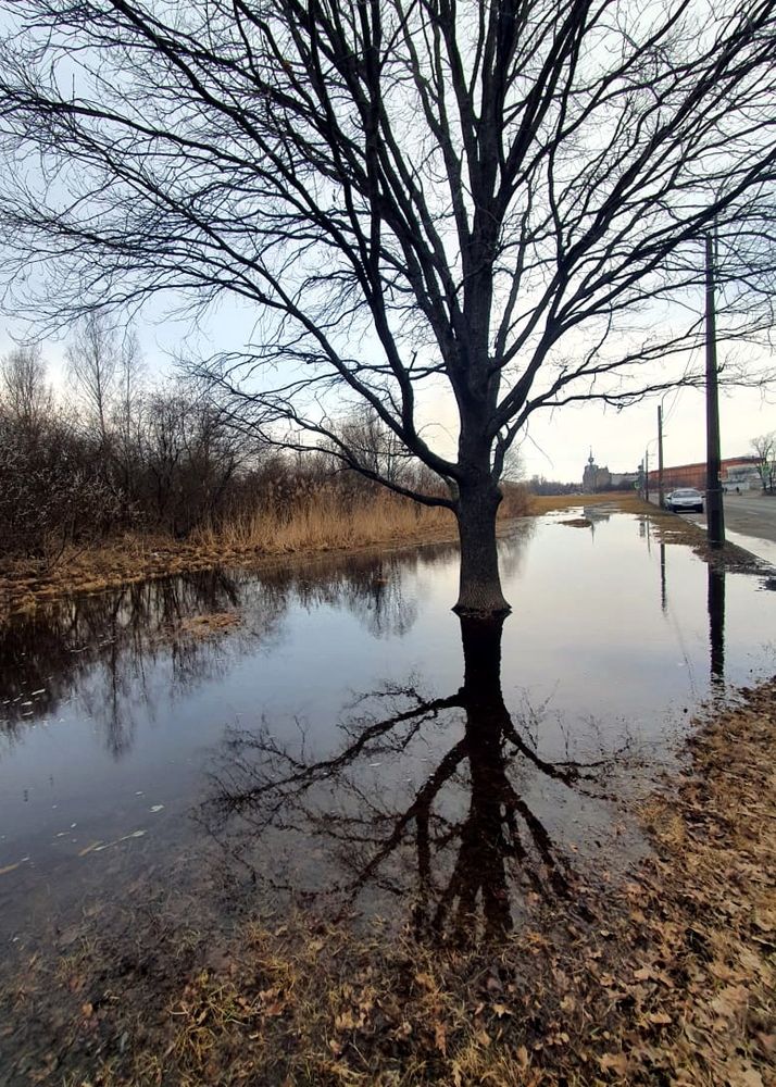 Photograph by Александра Борисовна