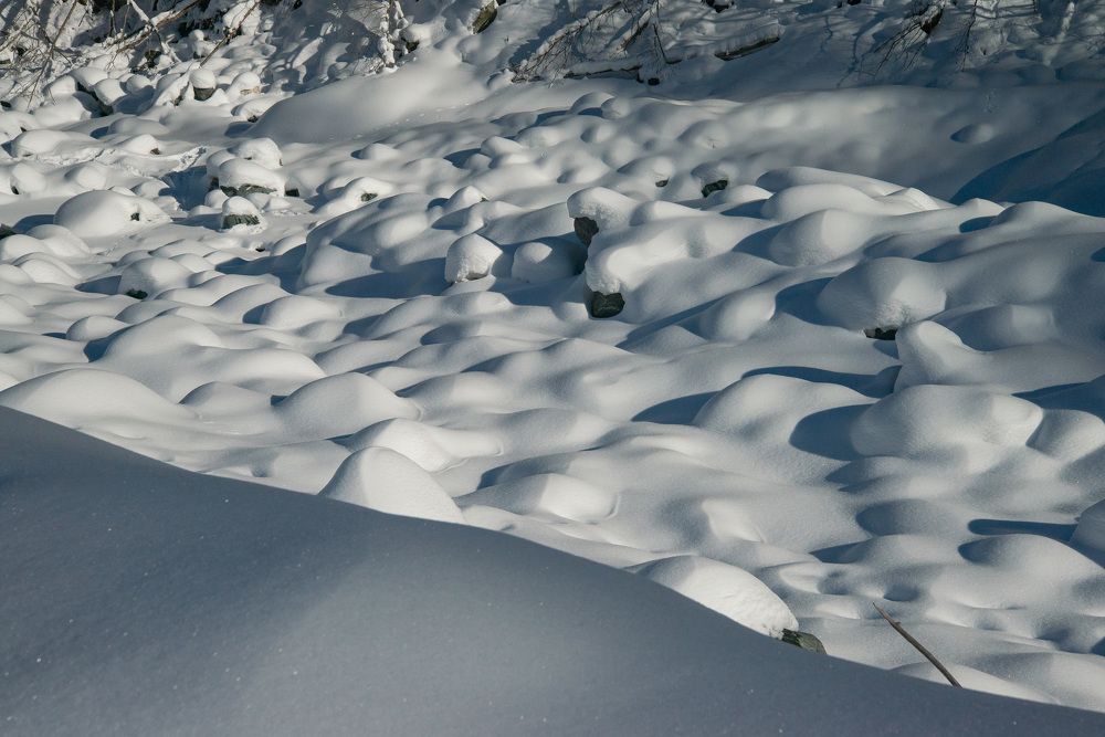 Photograph by Римма Волченко