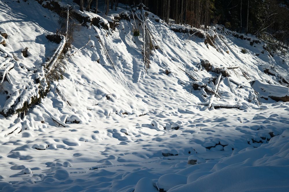 Photograph by Римма Волченко