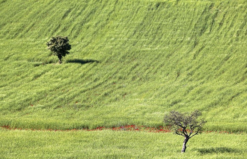 Фотография автора Ghadir Vaghari