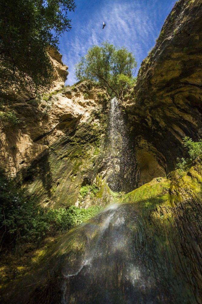 Фотография автора Ghadir Vaghari