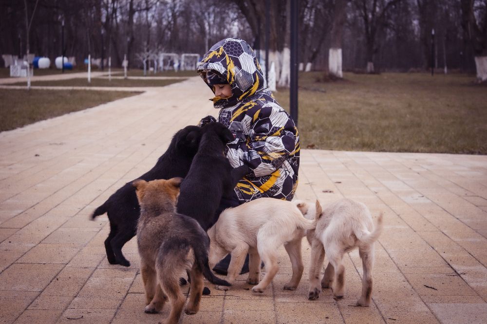 Photograph by Елена Фатьянова