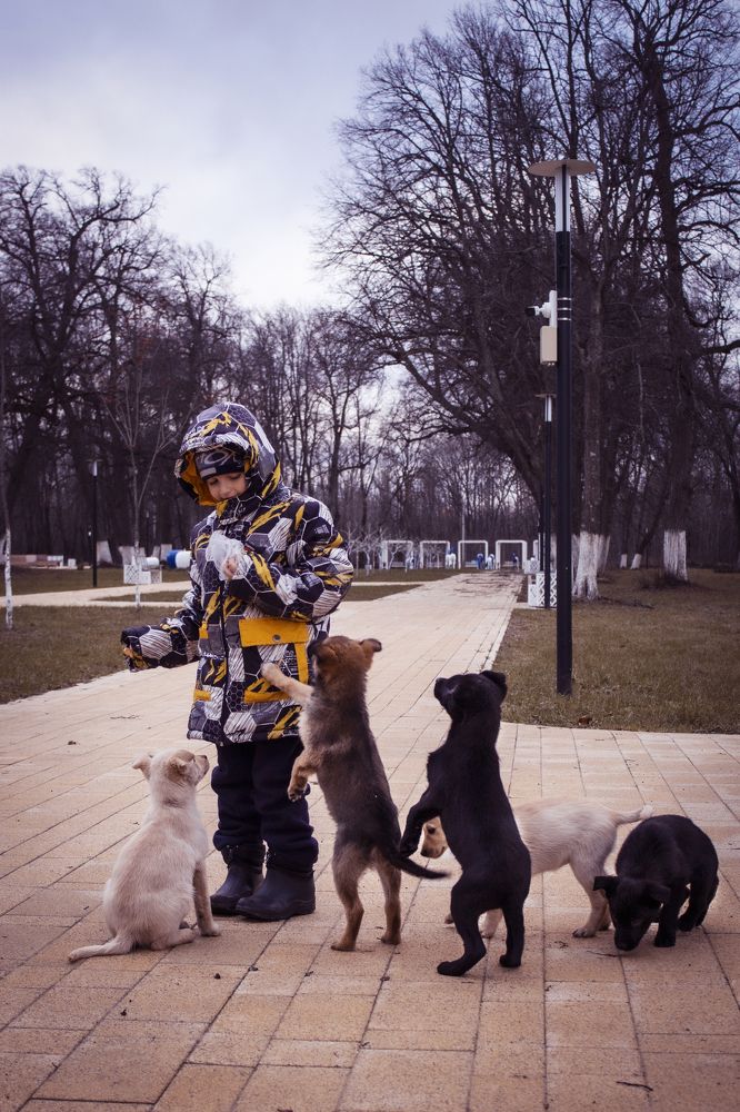 Photograph by Елена Фатьянова