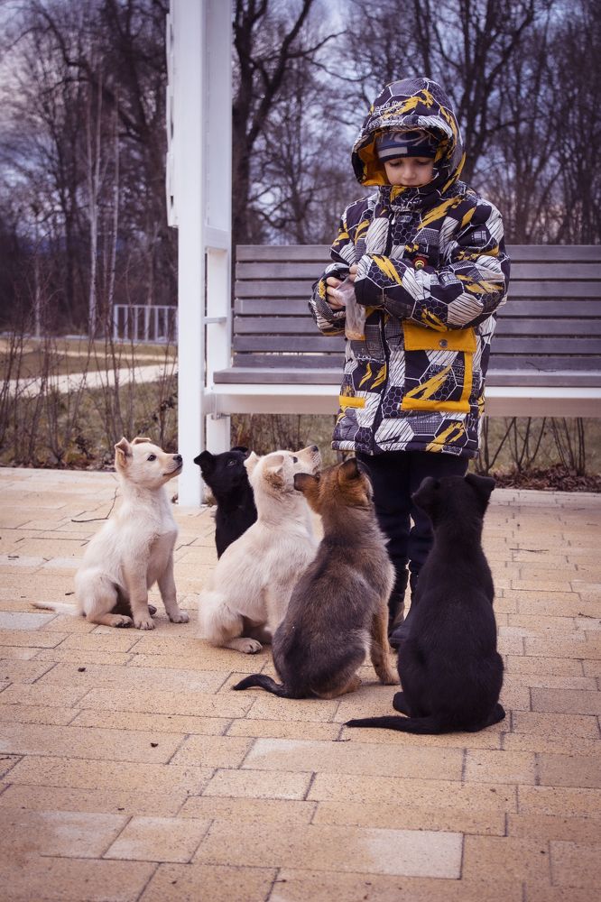 Photograph by Елена Фатьянова