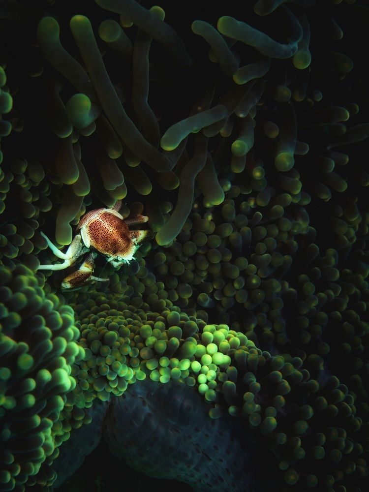 Photograph by Кирилл Леднев