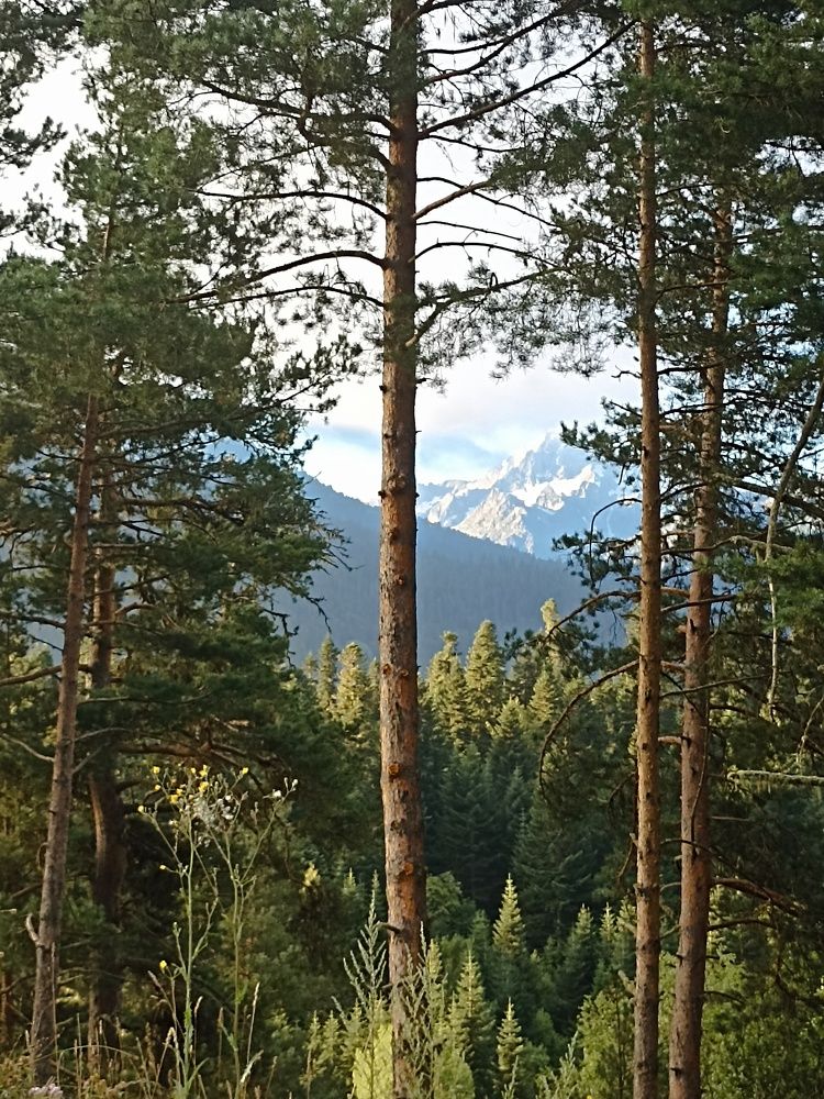 Photograph by Наталья Резванова