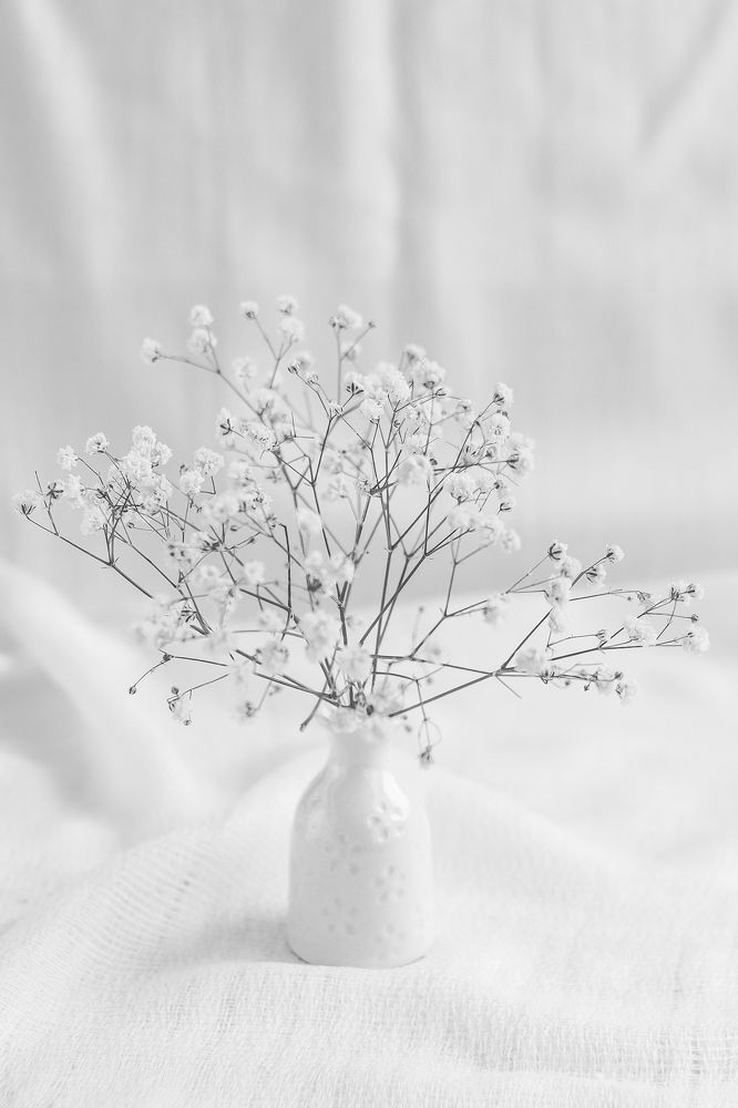 Photograph by Ольга Осинина