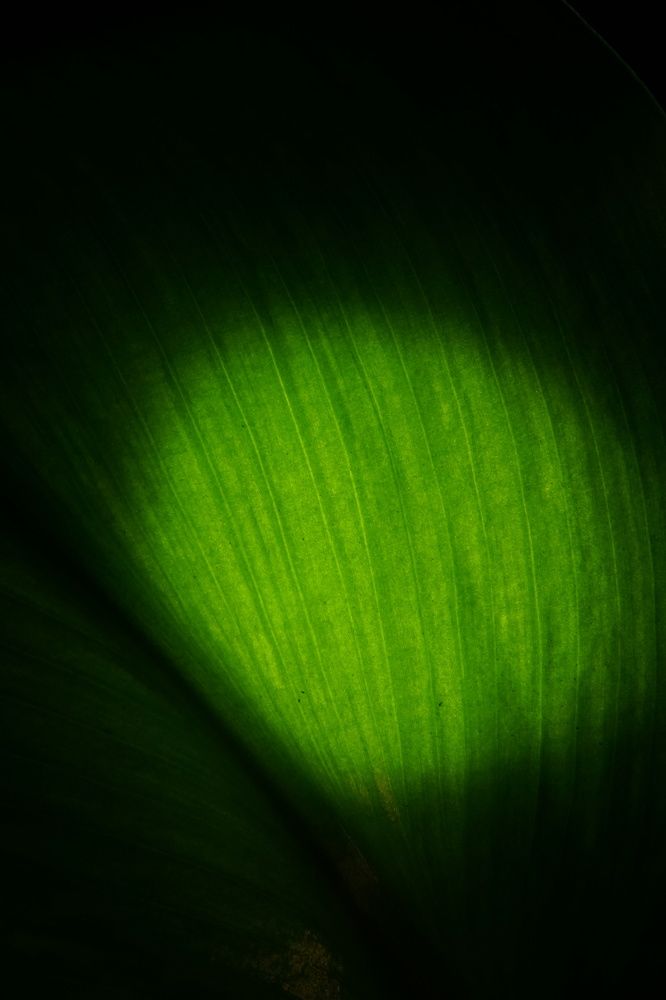 Photograph by Михаил Трусов