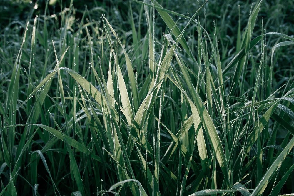 Photograph by Ольга Осинина