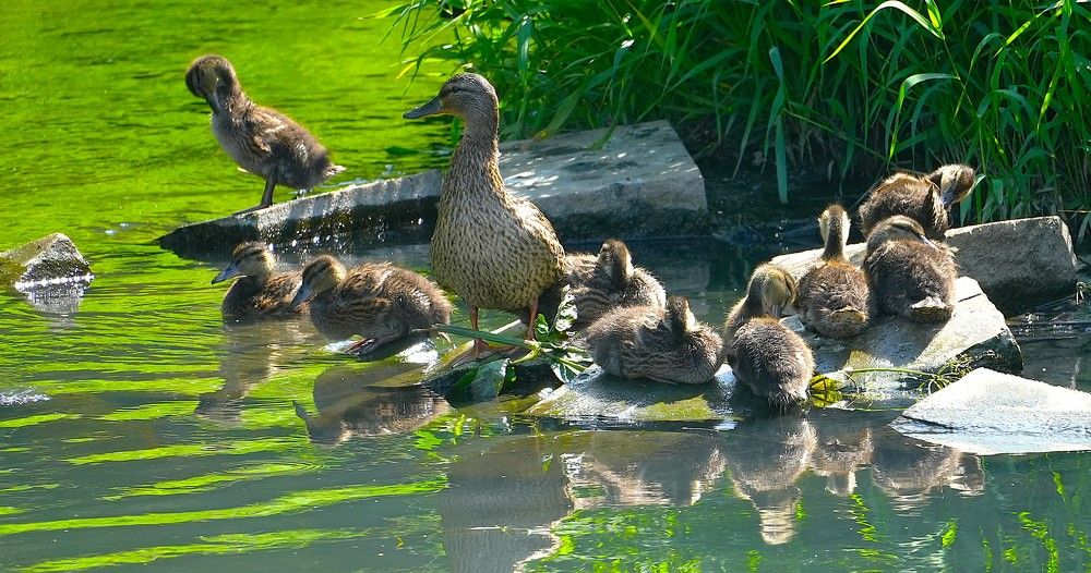 Photograph by Михаил Трусов