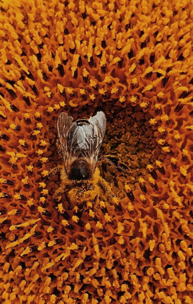 Photograph by Татьяна Пятернёва