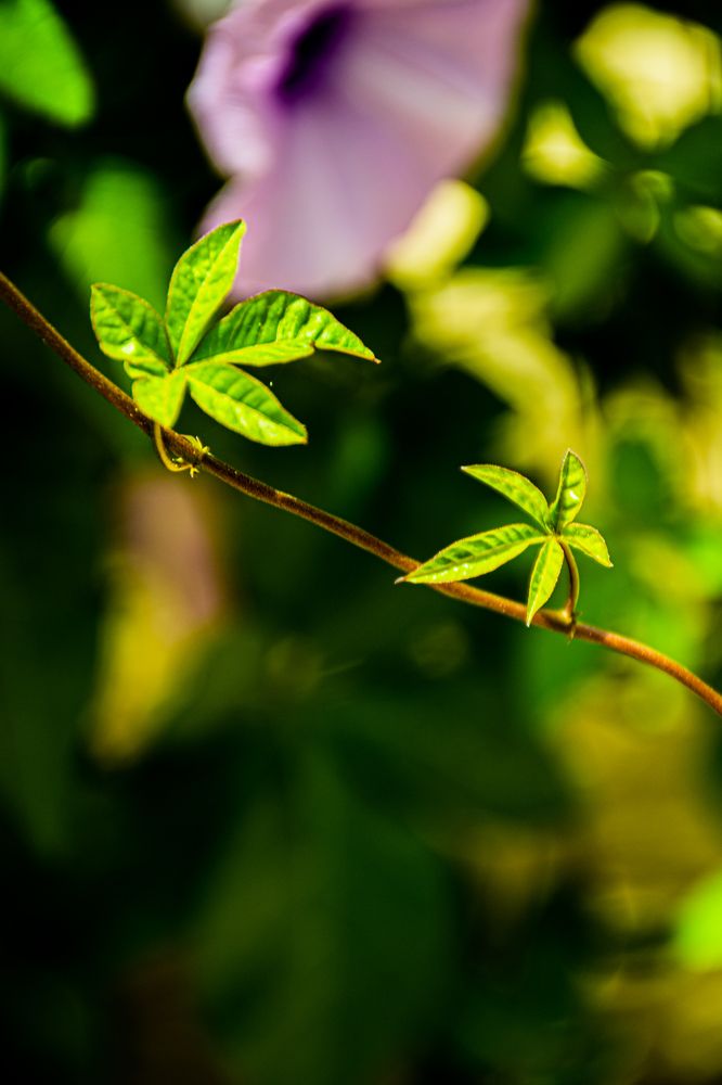 Photograph by Maryam Talepoor