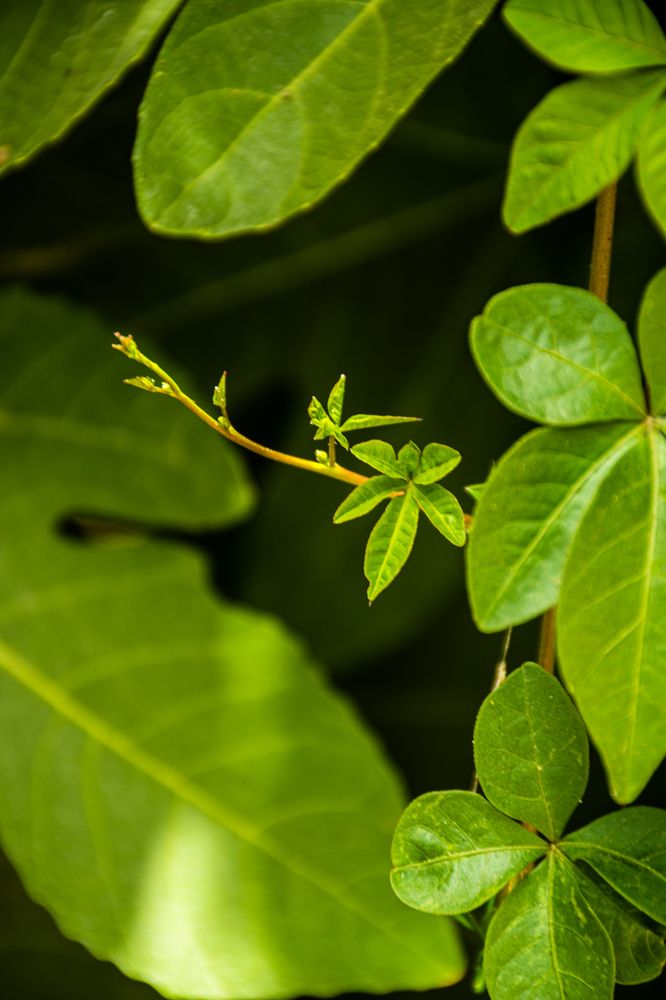 Photograph by Maryam Talepoor