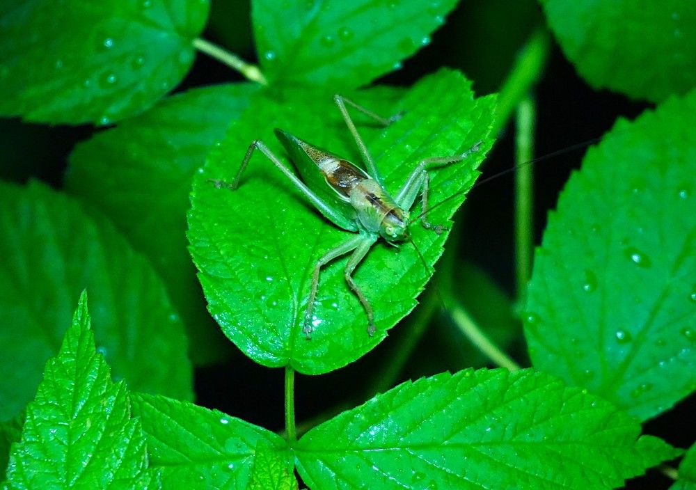 Photograph by Михаил Трусов