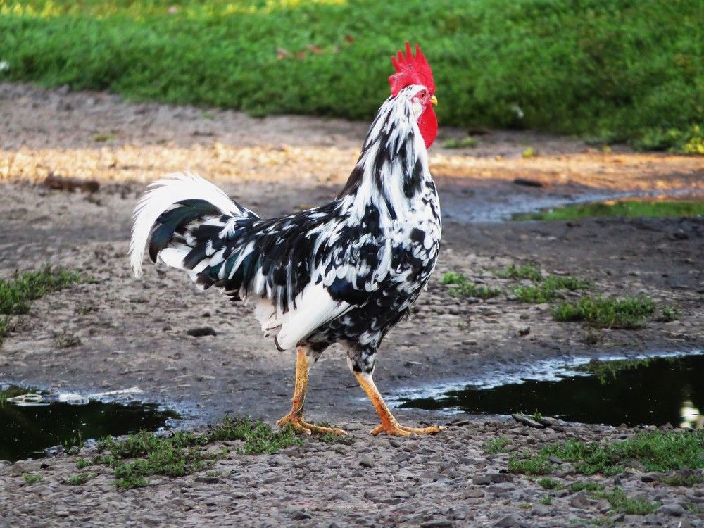 Photograph by Лариса Басова