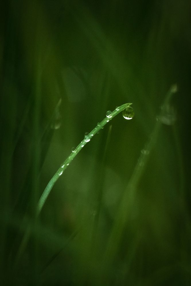 Photograph by Anya Lo