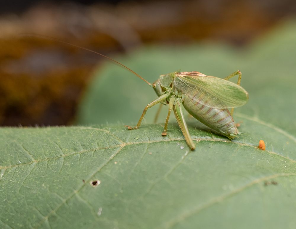 Photograph by Екатерина Каминская