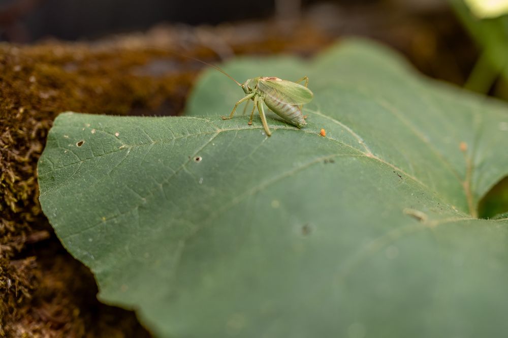 Photograph by Екатерина Каминская