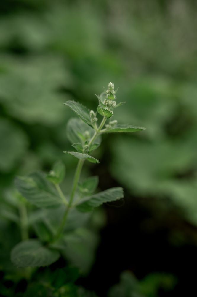 Photograph by Екатерина Каминская