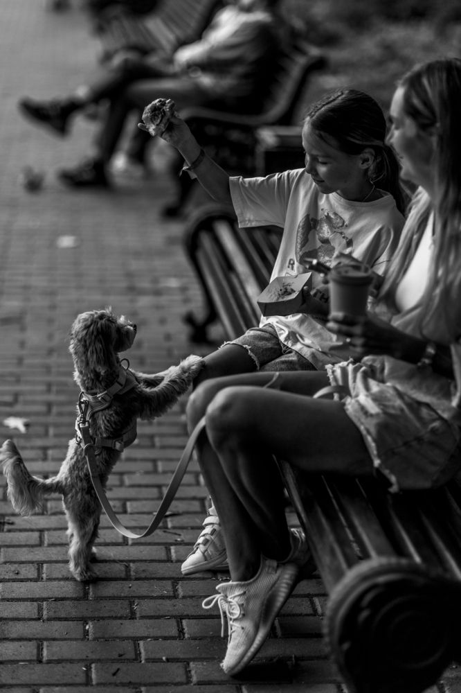 Photograph by Константин Абрамов