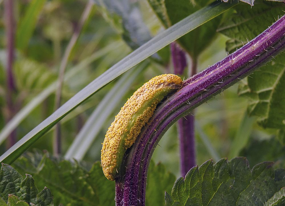 Photograph by Цветков Сергей