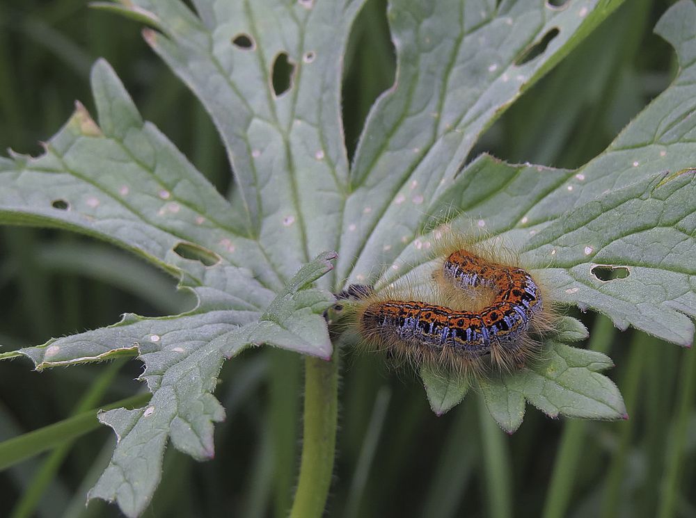 Photograph by Цветков Сергей