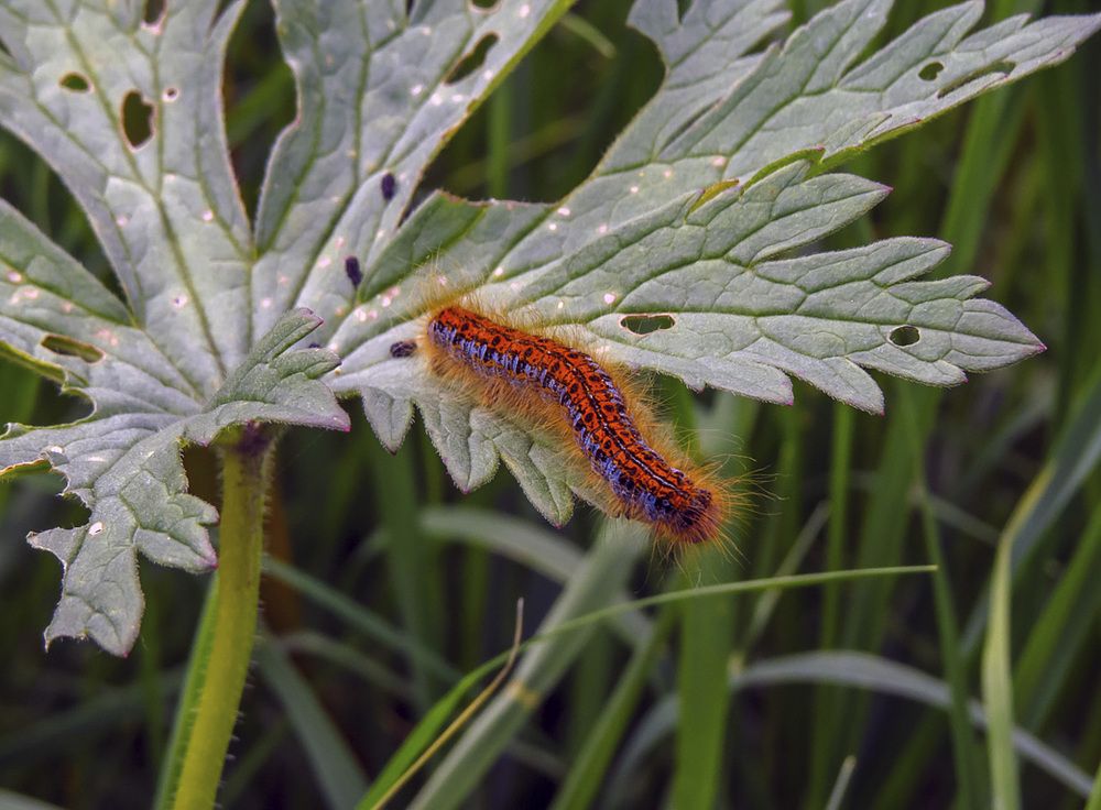 Photograph by Цветков Сергей