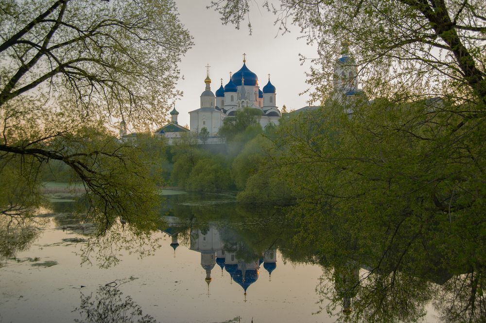 Photograph by Hedgehog