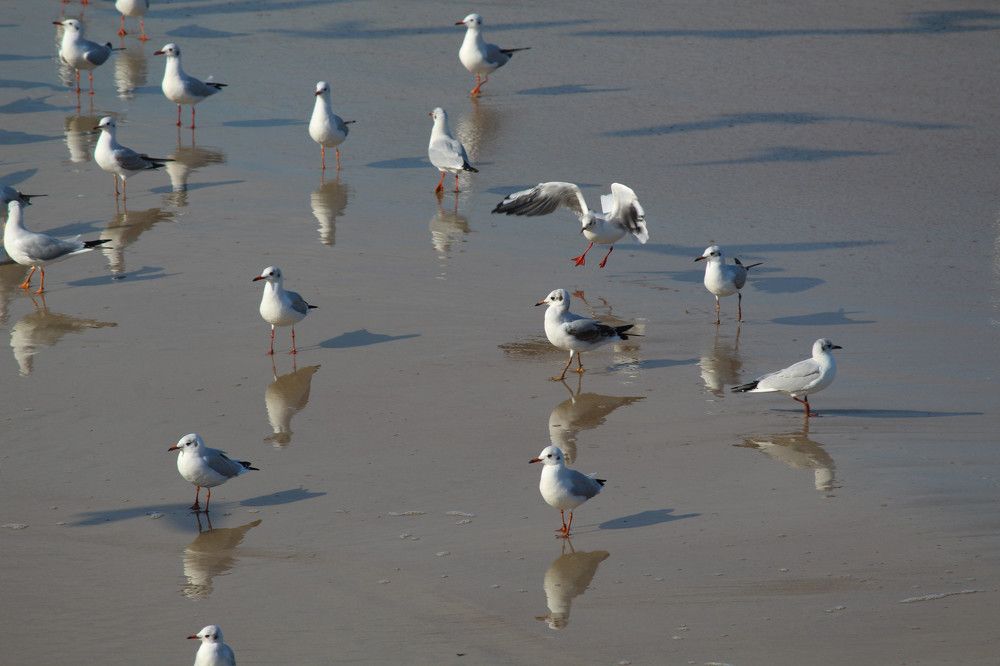 Photograph by Наталья Резванова