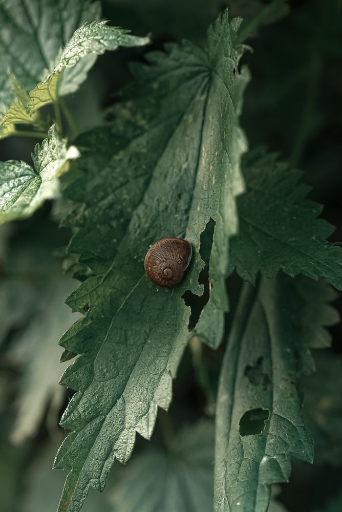 Photograph by Anya Lo