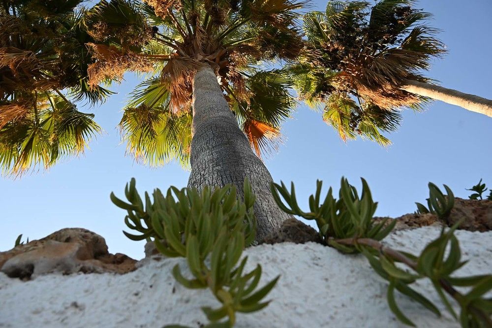 Photograph by Ксения