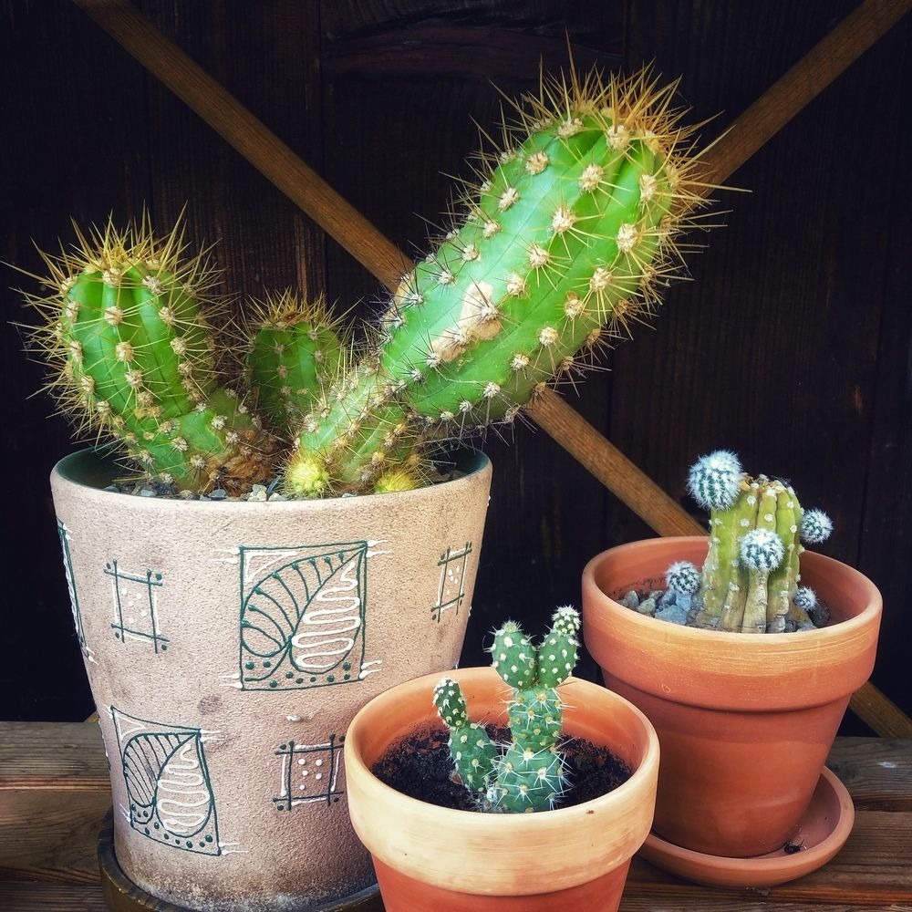 Photograph by Артемий