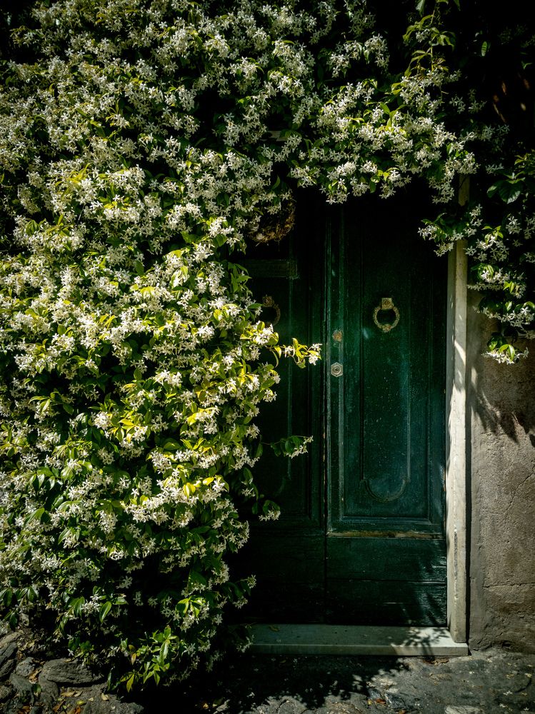 Photograph by Irina Tischer