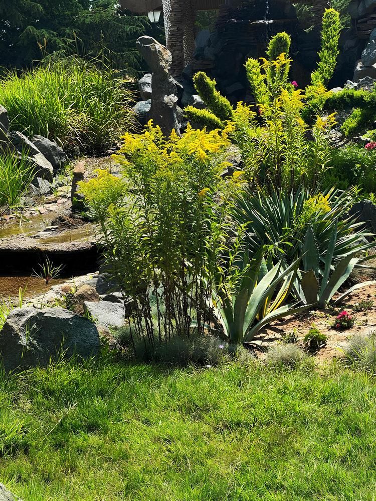 Photograph by Елена Мулькова