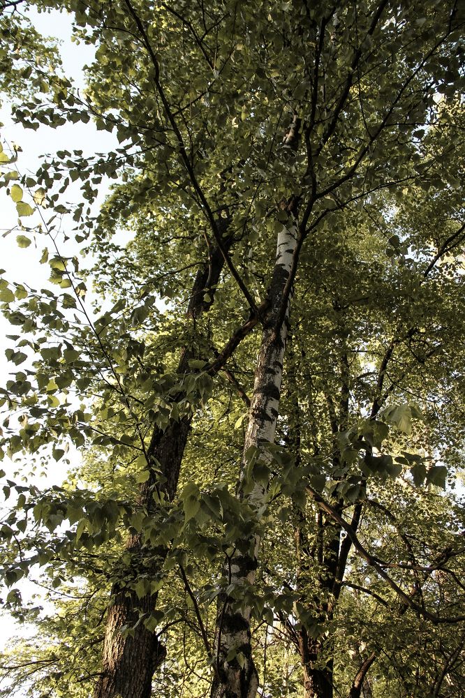 Photograph by Анастасия Псарёва