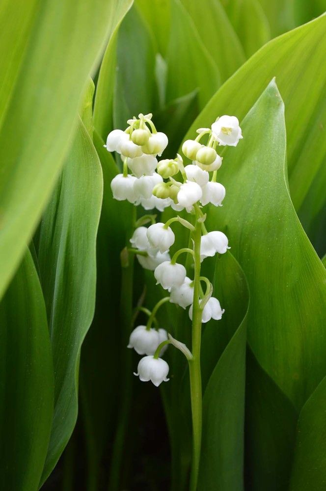 Photograph by Ксения