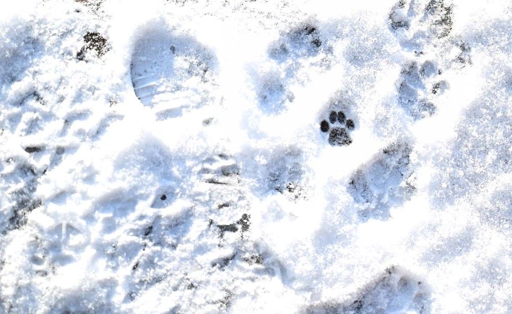 Photograph by Ксения