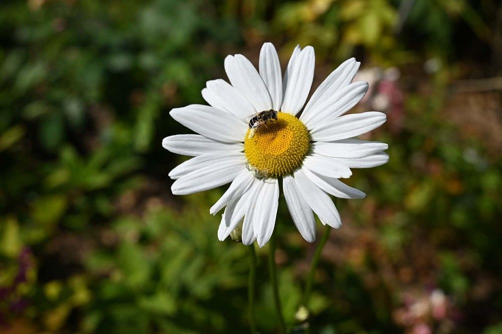 Photograph by Ксения